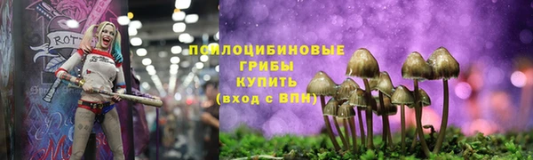 кокаин Дмитриев
