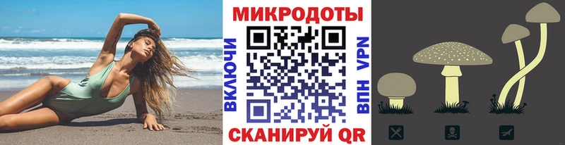 Галлюциногенные грибы GOLDEN TEACHER  где купить   Камень-на-Оби 